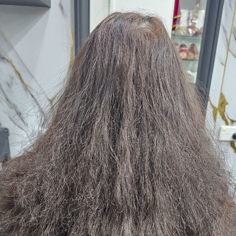 Rear view of hair before treatment, comparison 1